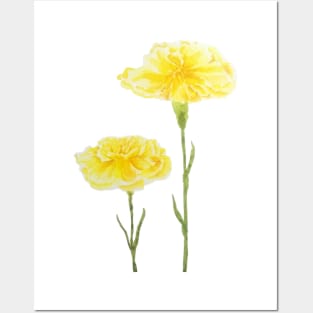 Two yellow carnation watercolor painting Posters and Art